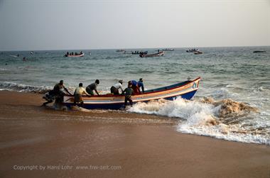 Fishing fleet, Chowara Beach,_DSC_9683_H600